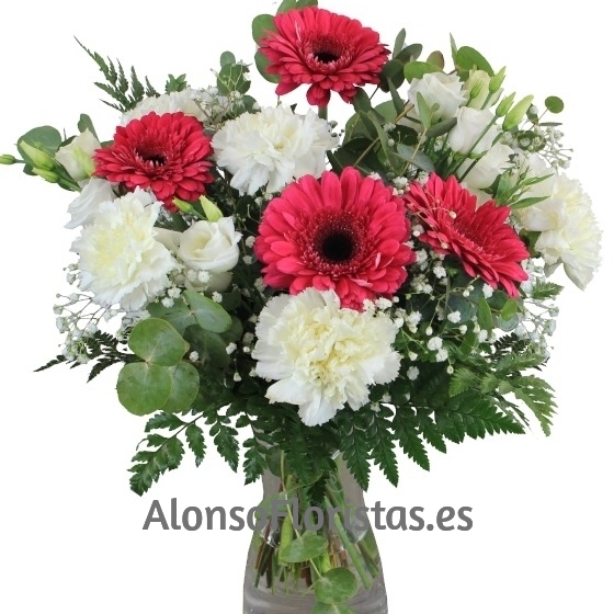 Ramo Clavel y Gerberas