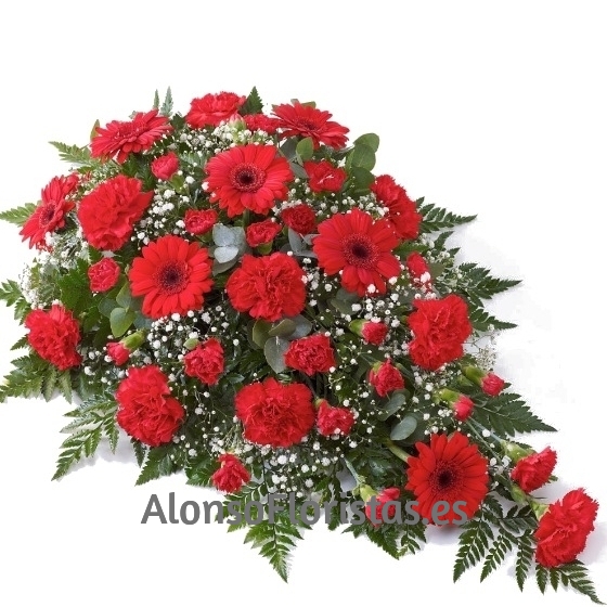 Centro Funerario Rojos