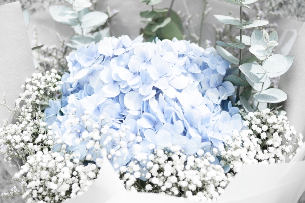 Flores regalar hospital
