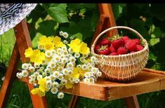 Cesta Frutas Uganda, Cesta de Frutas a Domicilio, Cestas de Fruta para Ocasiones Especiales, Cestas de Frutas de Regalo a Domicilio, Floristería Online
