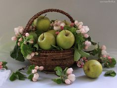 Cesta Frutas Uganda, Cesta de Frutas a Domicilio, Cestas de Fruta para Ocasiones Especiales, Cestas de Frutas de Regalo a Domicilio, Floristería Online