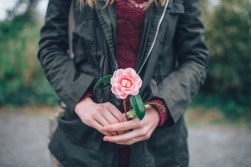 Enviar Ramos de Rosas a domicilio Rosas, ramo de rosas, enviar rosas, 12 rosas rojas, ramo de 12 rosas rojas, ramo rosas, ramo de 12 rosas, ramo de 24 rosas, ramo de rosas blancas precio