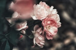 Centro Funerario Inocencia, Flores Blancas para Difuntos, Centro de Flores para Defunción, Centro para Funeral, Envío de Flores a Tanatorio