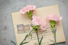 floristería online, floristeria vitoria, enviar centros de flores para nacimiento, enviar flores, envío de flores a domicilio baratas