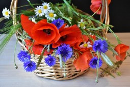 Ramo de Flores con envío a domicilio en Leganés enviar flores de regalo, regalar ramo de flores para cumpleaños, flores para regalar, flores baratas de regalo, floristeria online