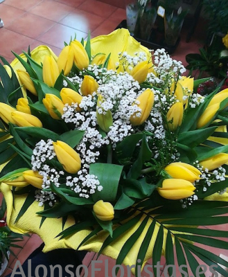 Enviar Ramos de Flores