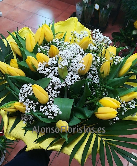 Enviar Ramos de Flores